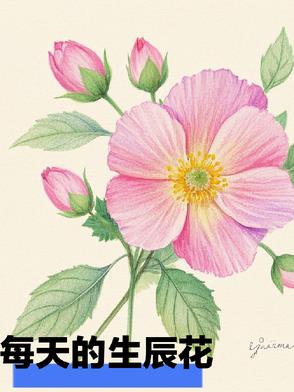 每天的生活规律